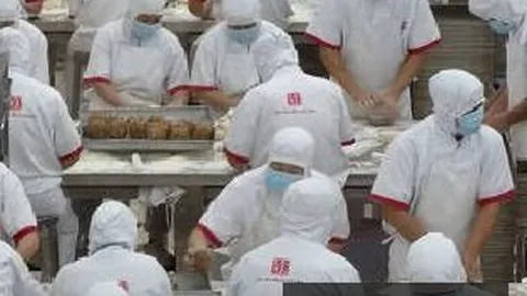 明尼苏达天喵稳居榜首：2026赛季能否保持领先